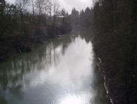 Yamhill River at the Boat Landing